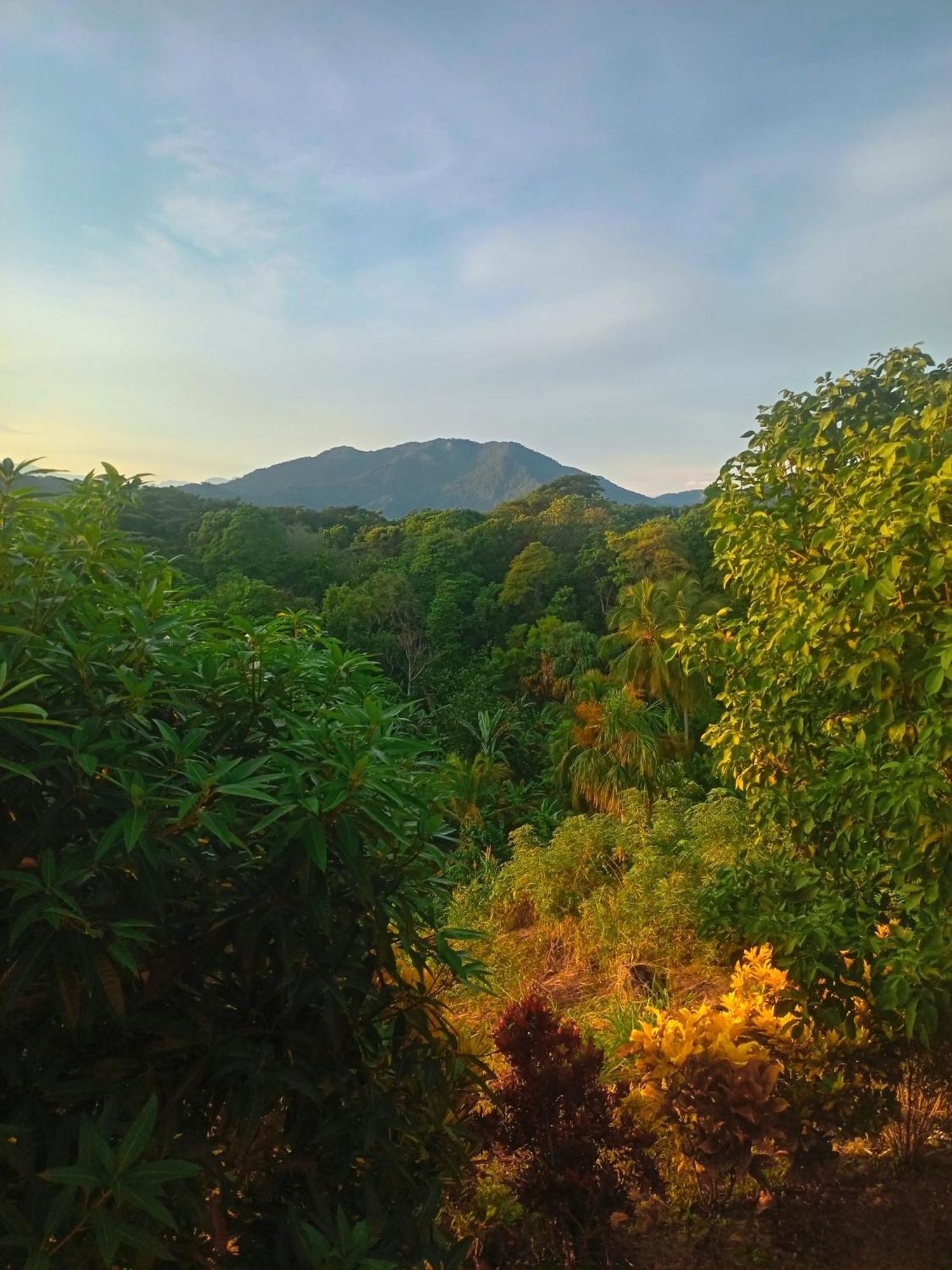 Casa Tolosa Tayrona, Los Cocos La Poza Exterior foto